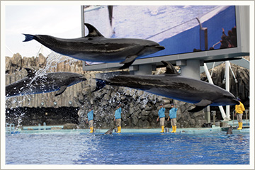 名古屋港水族館